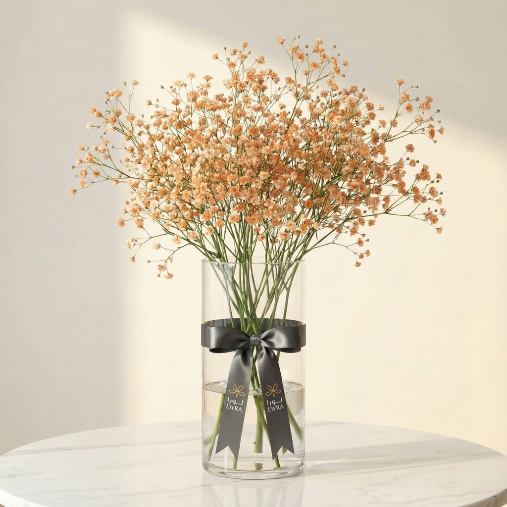 WhatsApp Image 2025-12-19 at 11.02.15 PM (2).jpeg