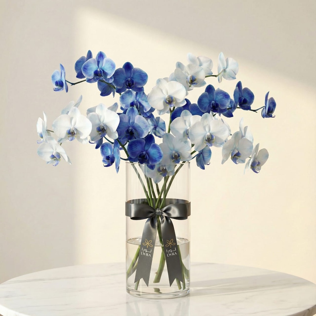 WhatsApp Image 2025-12-19 at 11.02.20 PM (2).jpeg