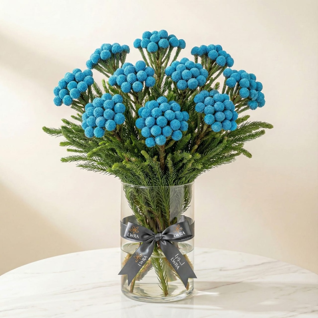 WhatsApp Image 2025-12-19 at 11.02.23 PM (1).jpeg