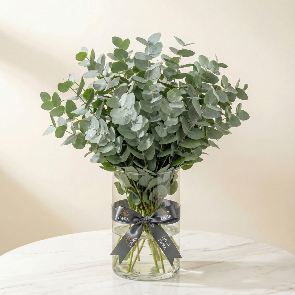 WhatsApp Image 2025-12-19 at 11.02.23 PM (2).jpeg