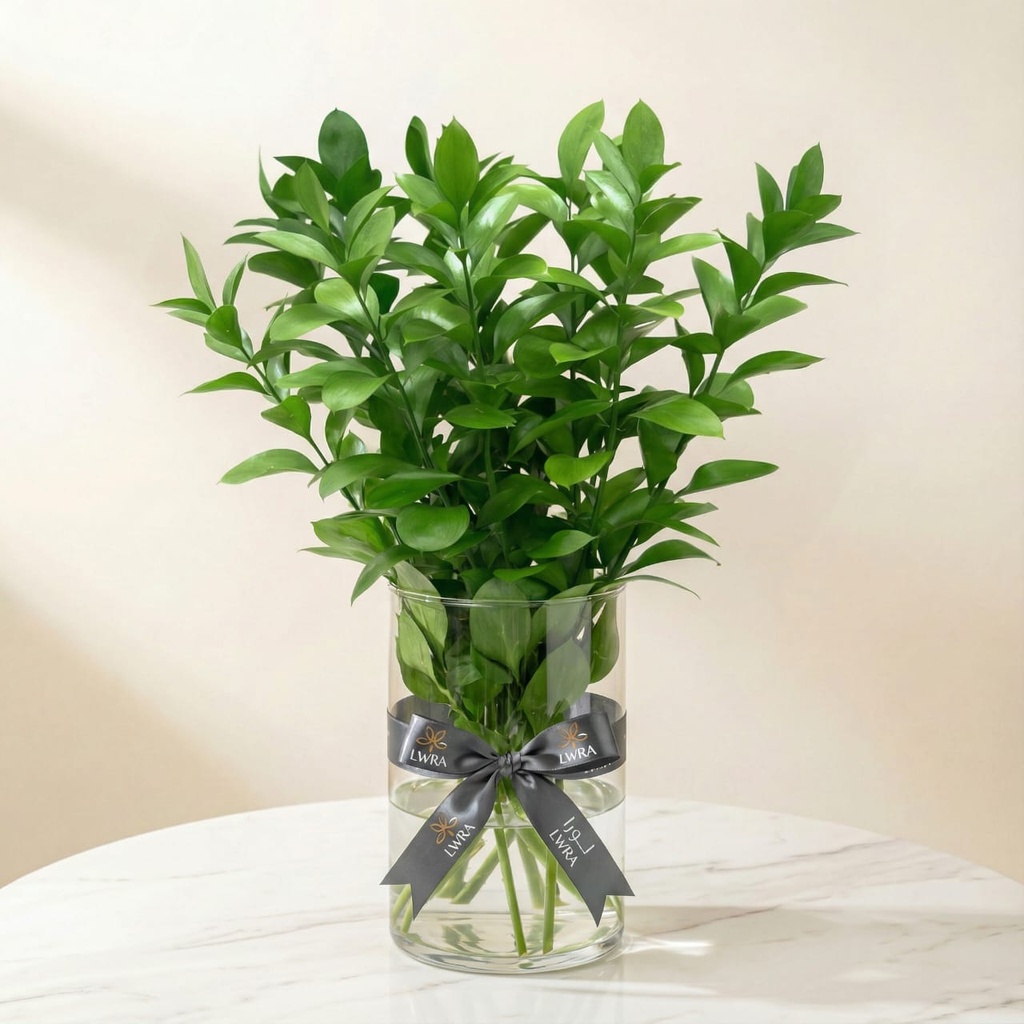 WhatsApp Image 2025-12-19 at 11.02.24 PM (1).jpeg