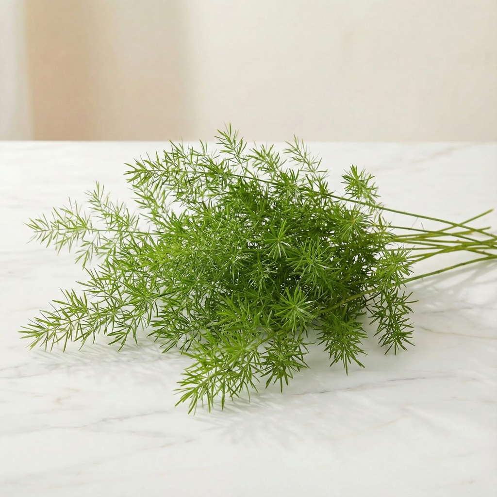 WhatsApp Image 2025-12-19 at 11.02.25 PM (1).jpeg