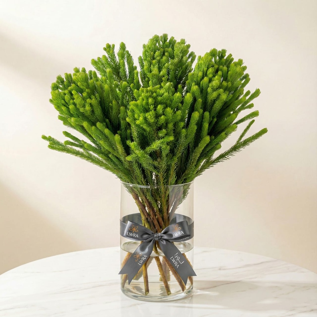 WhatsApp Image 2025-12-19 at 11.02.25 PM.jpeg