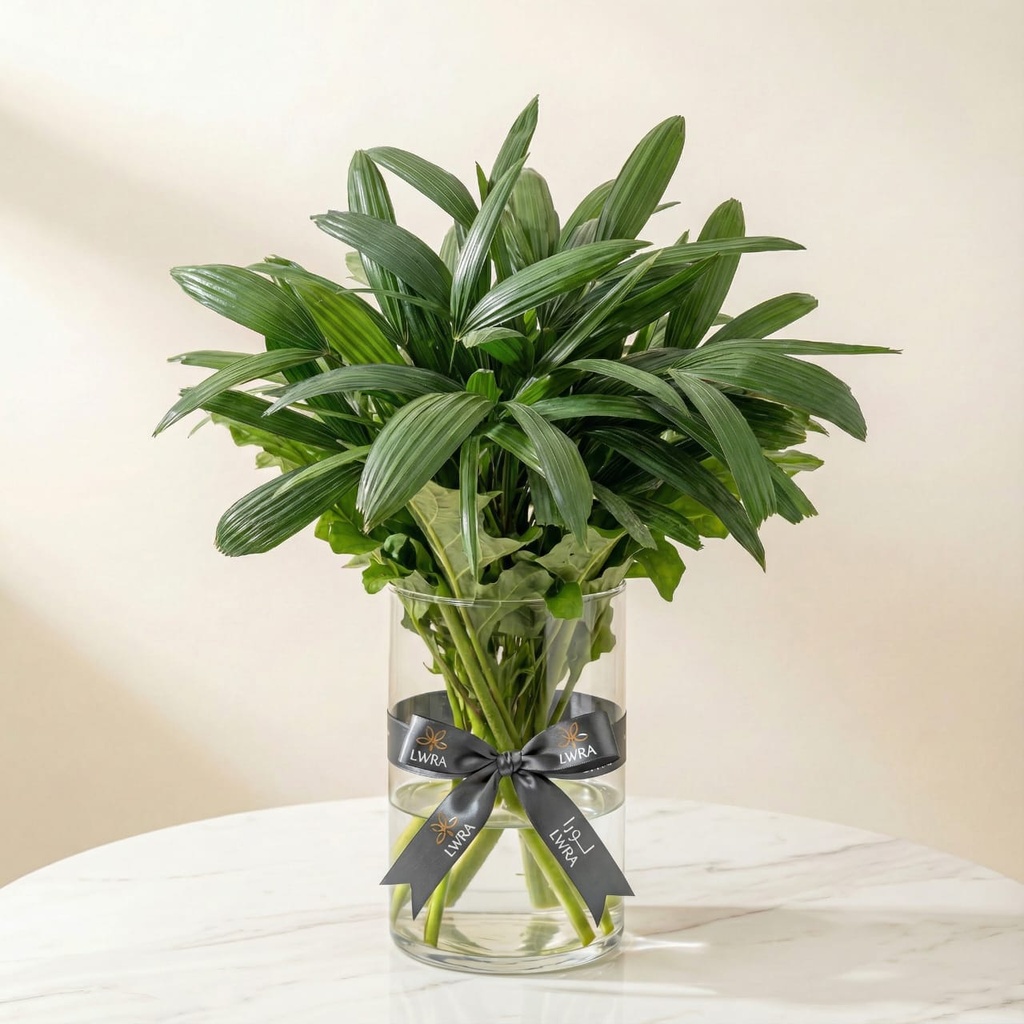 WhatsApp Image 2025-12-19 at 11.02.27 PM (1).jpeg