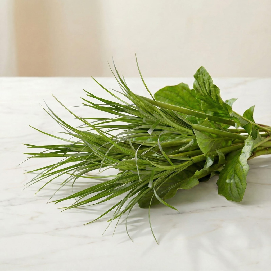 WhatsApp Image 2025-12-19 at 11.02.27 PM.jpeg