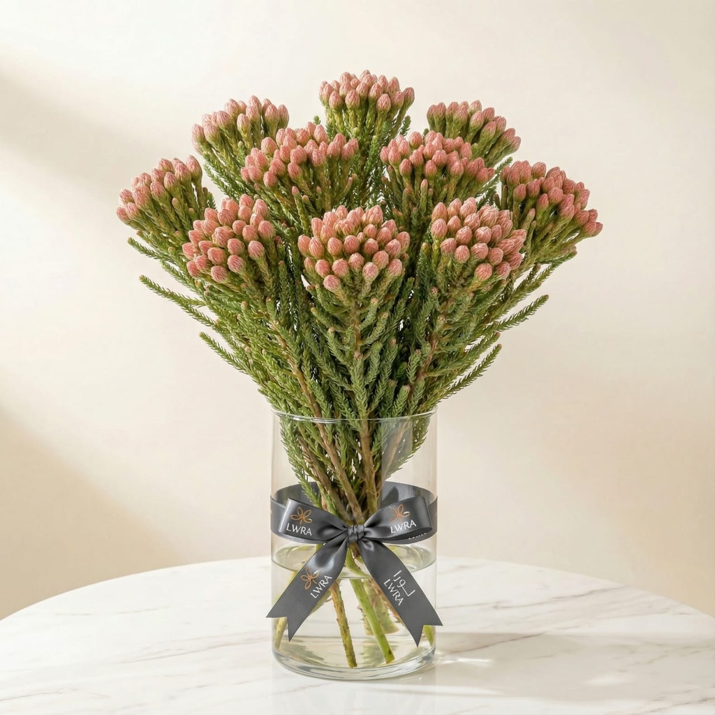 WhatsApp Image 2025-12-19 at 11.02.29 PM.jpeg