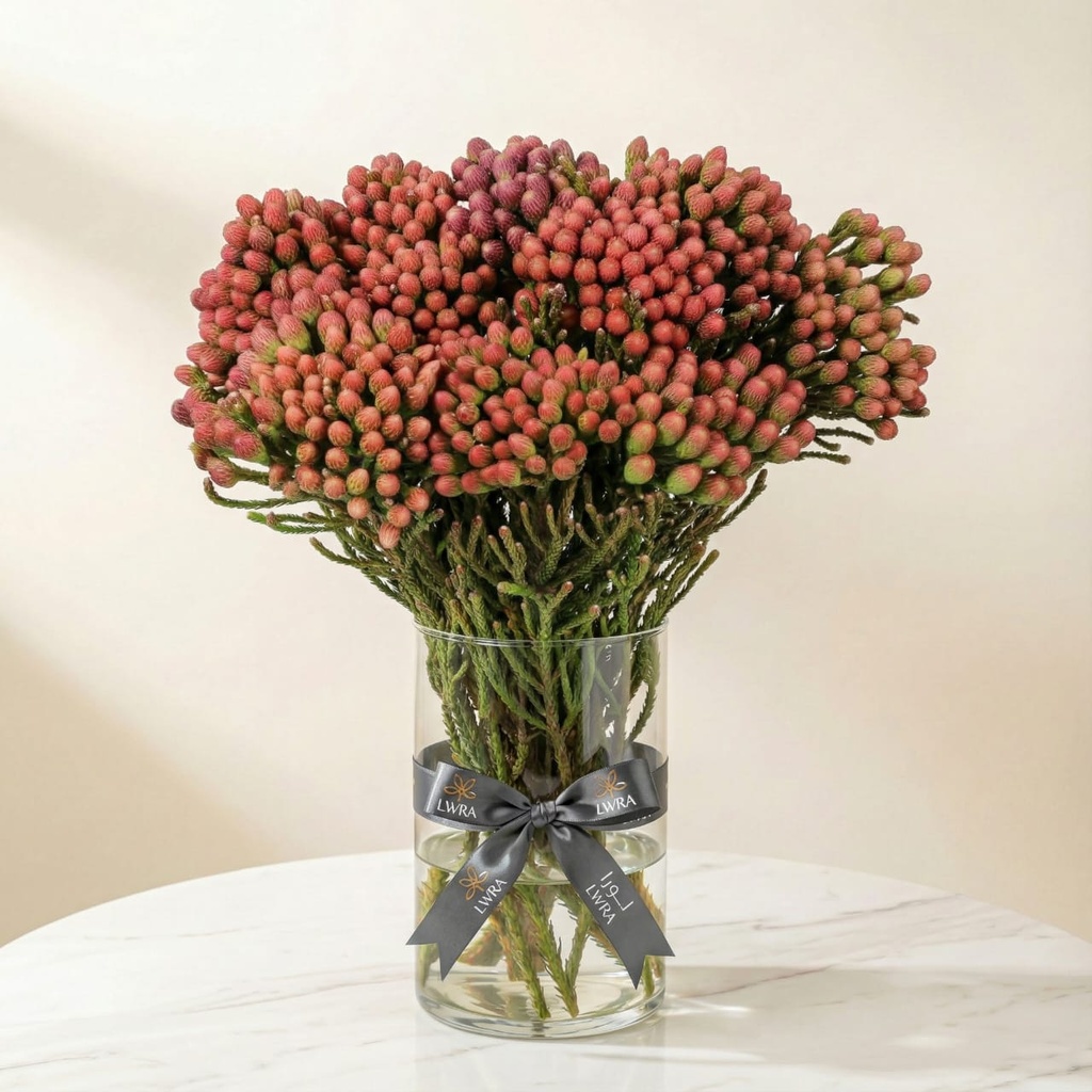 WhatsApp Image 2025-12-19 at 11.02.30 PM.jpeg