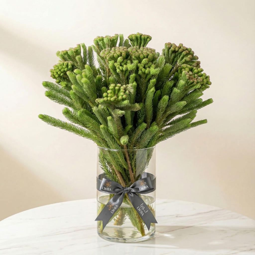 WhatsApp Image 2025-12-19 at 11.02.31 PM.jpeg