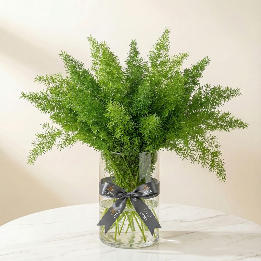 WhatsApp Image 2025-12-19 at 11.02.32 PM (1).jpeg