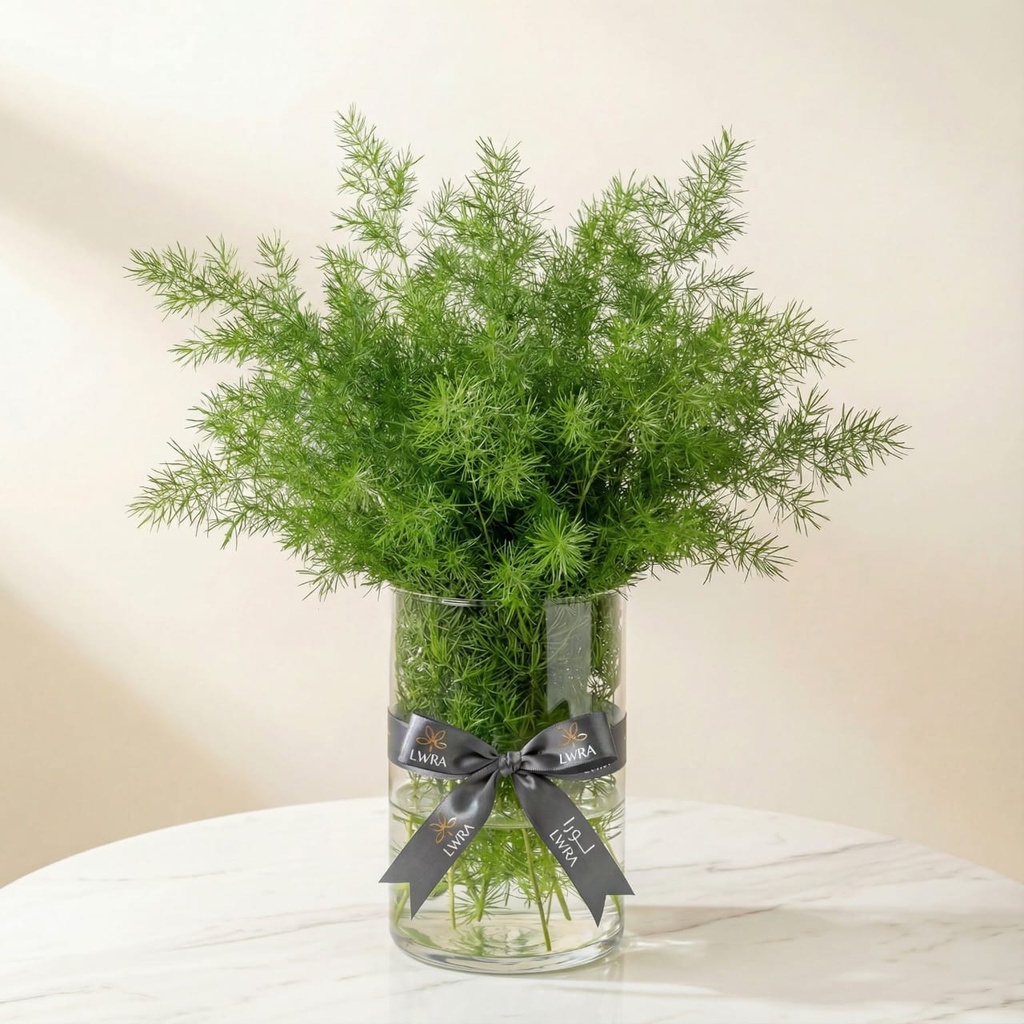 WhatsApp Image 2025-12-19 at 11.02.37 PM (1).jpeg