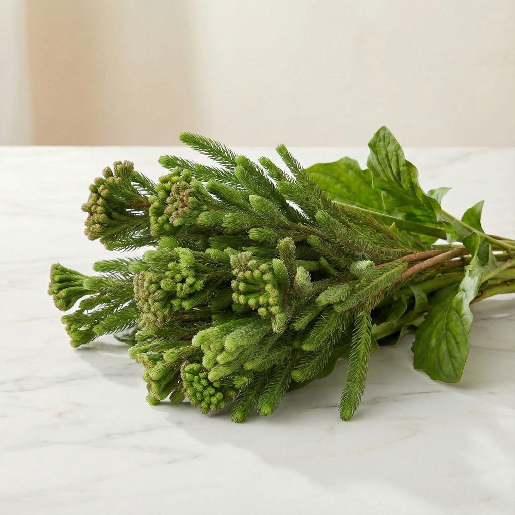 WhatsApp Image 2025-12-19 at 11.02.37 PM.jpeg