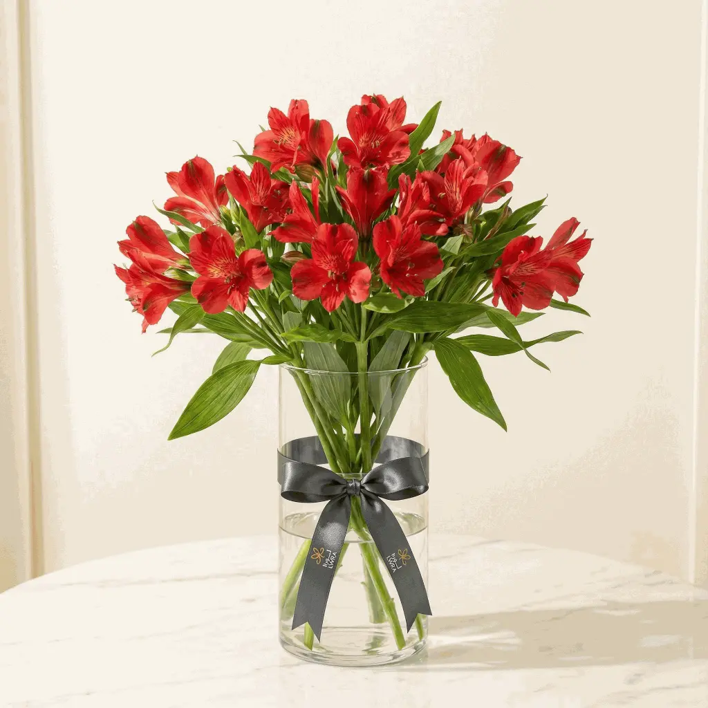 ALSTROMERIA الستروميريا