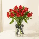 ALSTROMERIA_red.webp