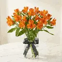 ALSTROMERIA_orange.webp