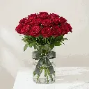 red_rose1.webp