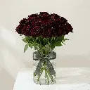 black_rose1.webp