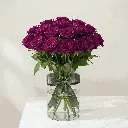 purple_rose1.webp