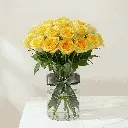 yellow_rose5.webp