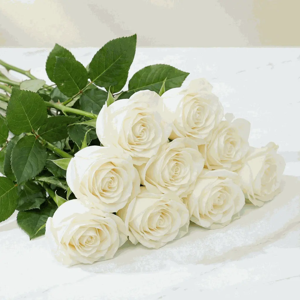 white_rose2.webp