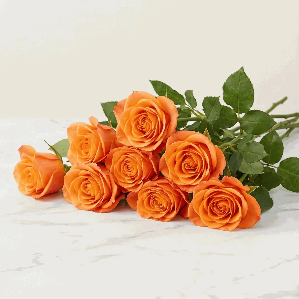 orange_rose4.webp