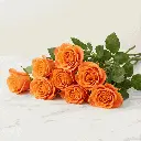 orange_rose4.webp