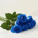 blue_rose2.webp