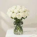 white_rose1.webp