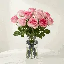 pink_rose3.webp