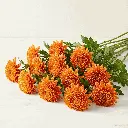 CHRYSANTHEMUM orange1.webp
