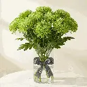 CHRYSANTHEMUM green.webp