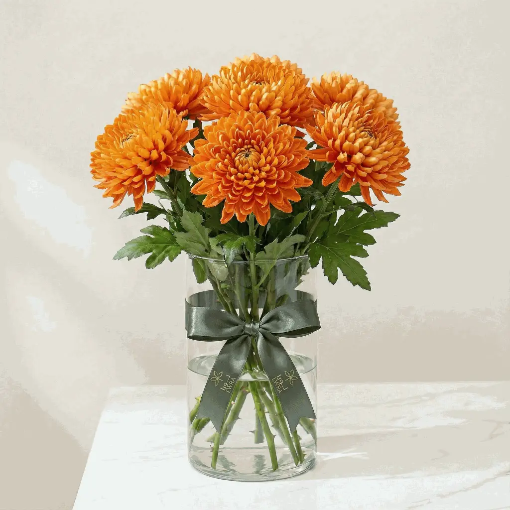 CHRYSANTHEMUM orange.webp