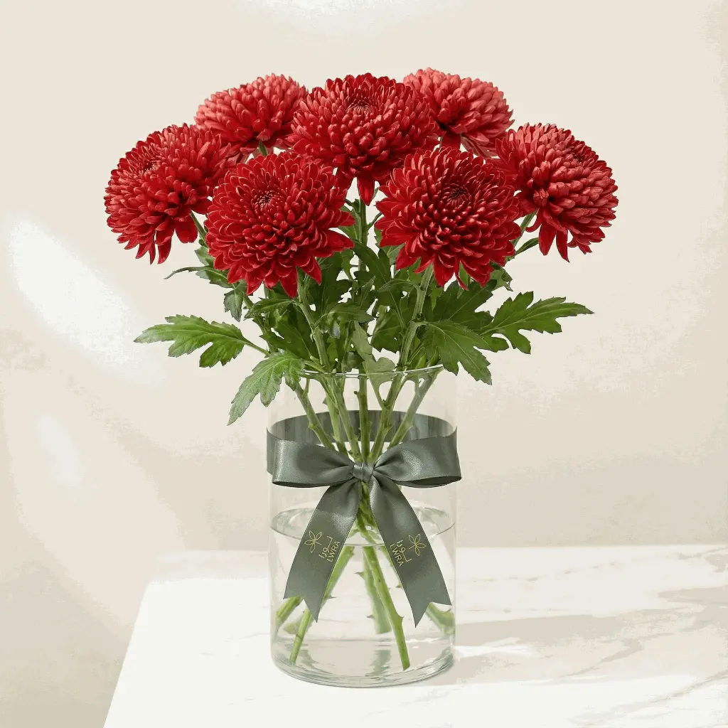 CHRYSANTHEMUM red.webp