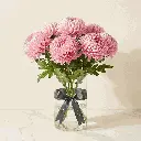 CHRYSANTHEMUM pink.webp