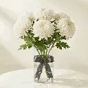 CHRYSANTHEMUM off white.webp