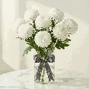 CHRYSANTHEMUM white.webp