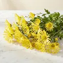 CHRYSANTHEMUM SANTINI Yellow1.webp