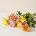 CHRYSANTHEMUM SANTINI Mix 1.webp