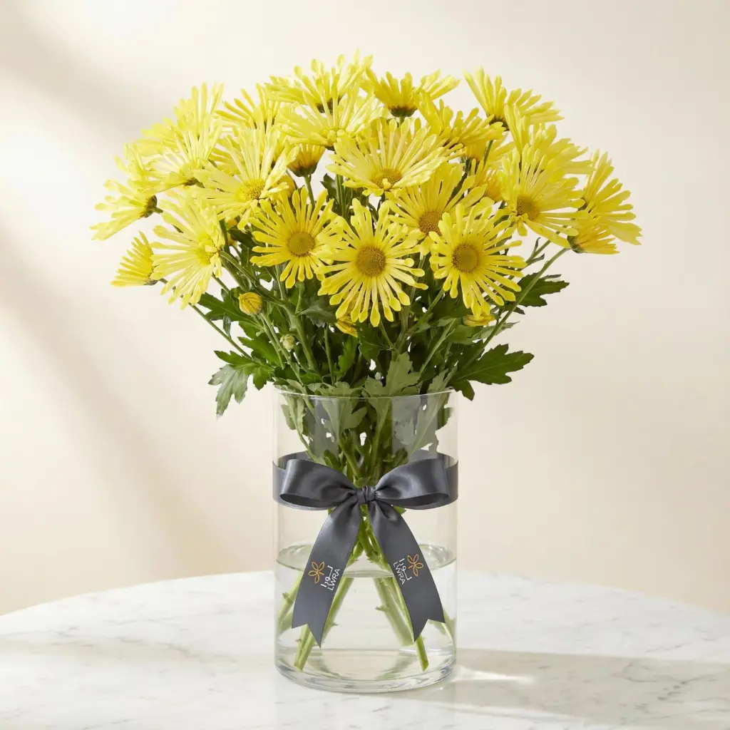 CHRYSANTHEMUM SANTINI Yellow.webp