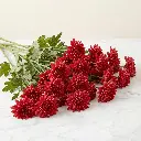 CHRYSANTHEMUM DECO Red.webp