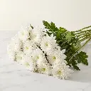 CHRYSANTHEMUM DECO White.webp