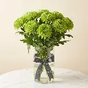 CHRYSANTHEMUM DECO Green.webp