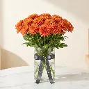 CHRYSANTHEMUM DECO Orange.webp