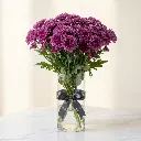 CHRYSANTHEMUM DECO Purple.webp