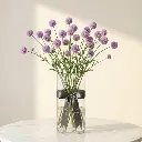 CRASPEDIA Purple.webp