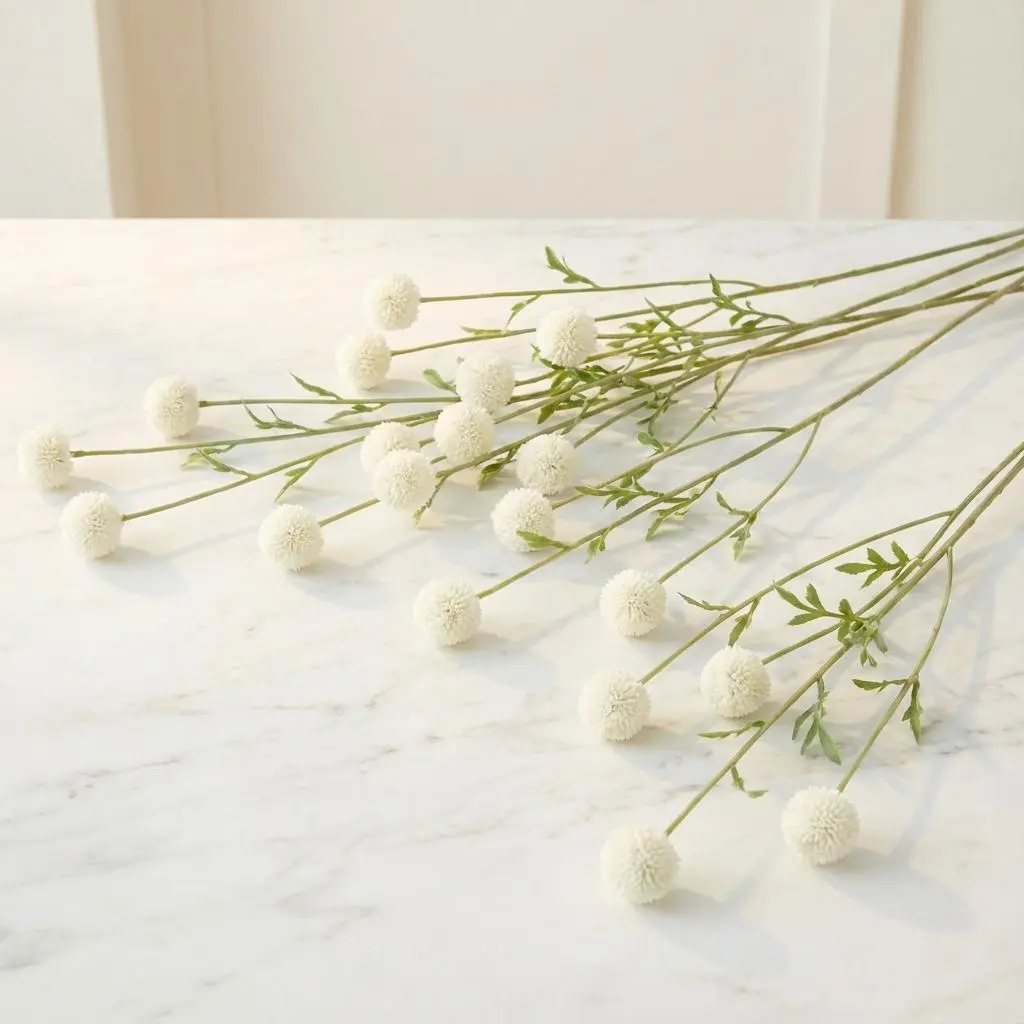 CRASPEDIA WHite 1.webp