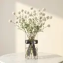 CRASPEDIA White.webp