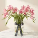 CYMBIDIUM Pink.webp