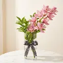 DELPHINIUM Pink.webp