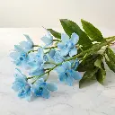 DELPHINIUM Blue1.webp