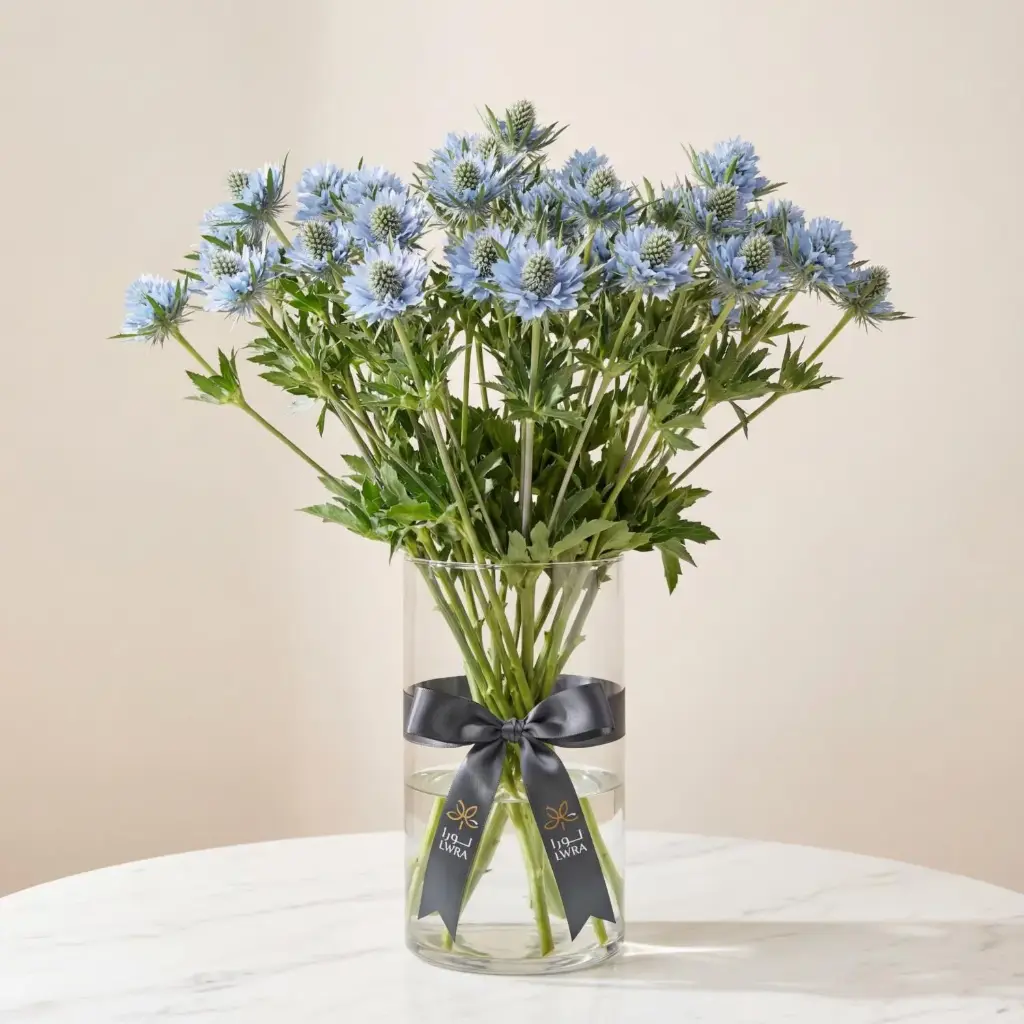 ERYNGIUM